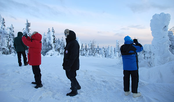 aurora alaska tour