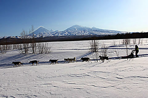 dog_mushing_tours